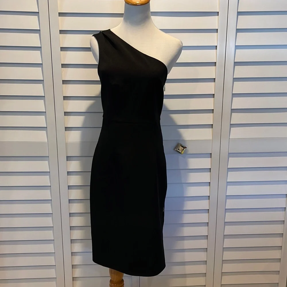 Express One Shoulder NWOT Dress with Side Zipper and lined! - Picture 1 of 11